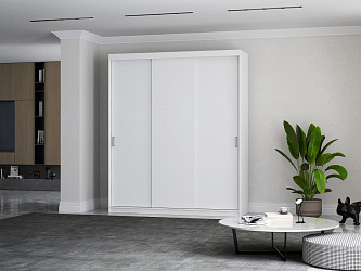 Шкаф купе 3-х дверный "Миллениум"